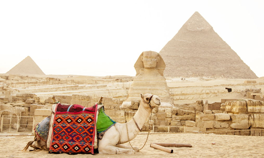 half day pyramids tour