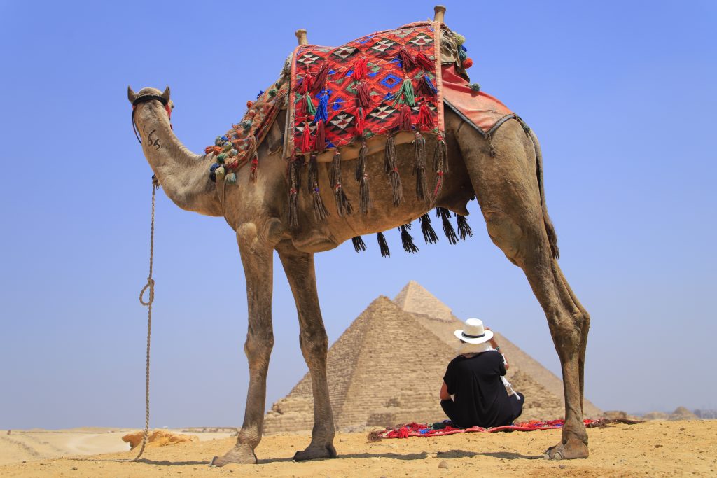 customized Egypt Tour Package
